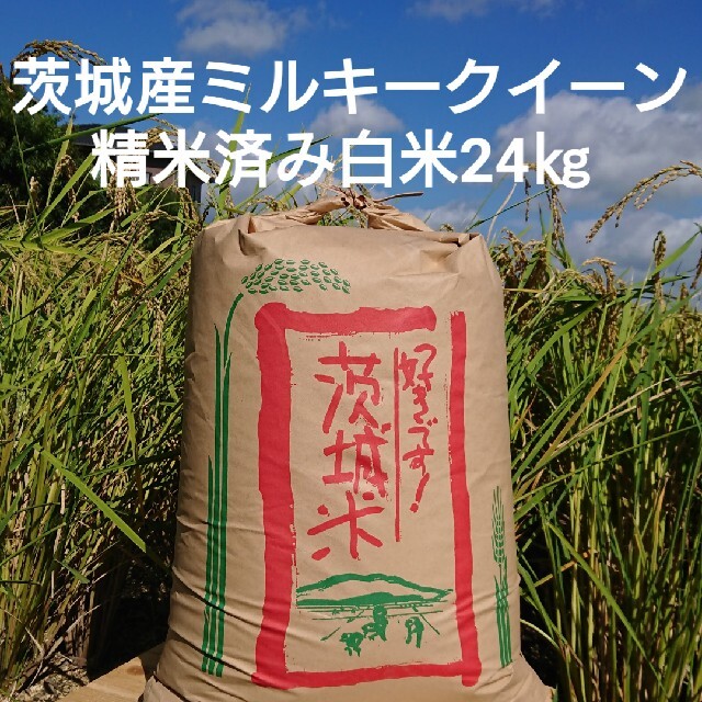 茨城令和3年産ミルキークイーン精米済み白米24㎏　6848円　プレミアム　、即日・翌日お届け実施中。