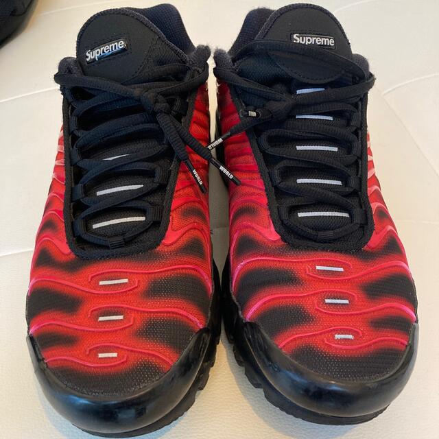 Supreme/Nike Air Max Plus US9