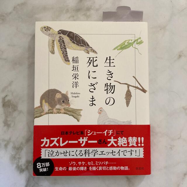 生き物の死にざま エンタメ/ホビーの本(その他)の商品写真