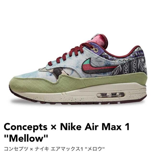 Concepts × Nike Air Max 1 "Mellow" 26.5