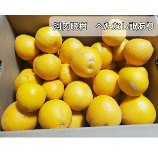 熊本県産　河内晩柑　へたなし訳あり　箱込10キロ(フルーツ)