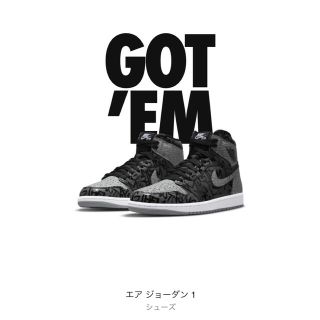 ナイキ(NIKE)のエアージョーダン1 Rebellionaire リベリオネア(スニーカー)