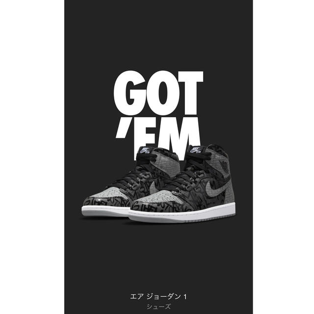 スニーカーNIKE AIR JORDAN 1 Rebellionaire 27cm