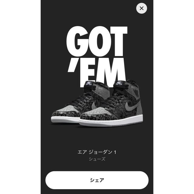 Nike  エアジョーダン1  Rebellionaire