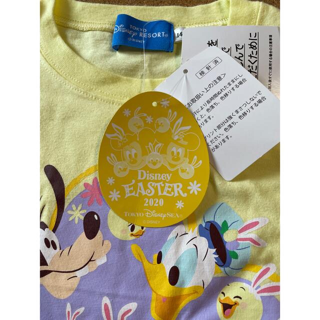 Disney(ディズニー)のディズニー　イースター Tシャツ　140cm キッズ/ベビー/マタニティのキッズ服女の子用(90cm~)(Tシャツ/カットソー)の商品写真