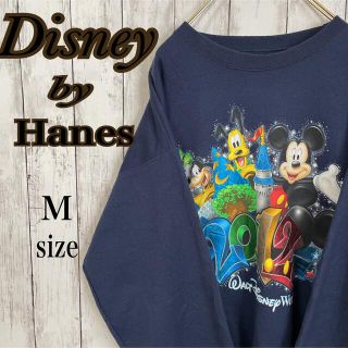 ディズニー(Disney)のDisney Hanes ヘインズ スウェット プリント Mサイズ 古着(スウェット)