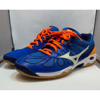 ミズノ(MIZUNO)のMIZUNO 屋内シューズ(その他)