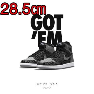 ナイキ(NIKE)のAIR JORDAN 1 RETRO HIGH OG Rebellionaire(スニーカー)