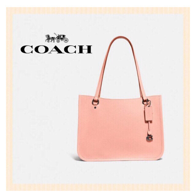 COACH - 新品未使用タグ付・ケアカード・紙袋・保存袋付♡タイラー