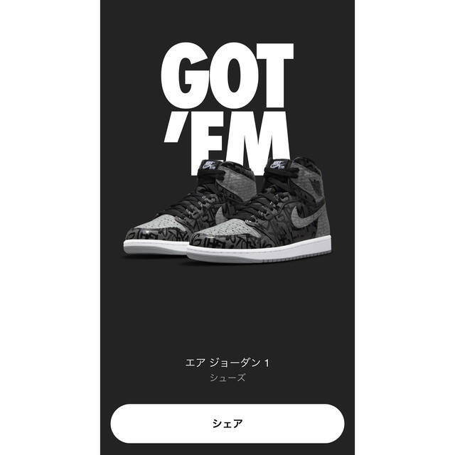 NIKE - NIKE AJ1 Rebellionaire