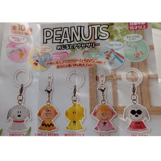 ピーナッツ(PEANUTS)のスヌーピー チャーム(キャラクターグッズ)