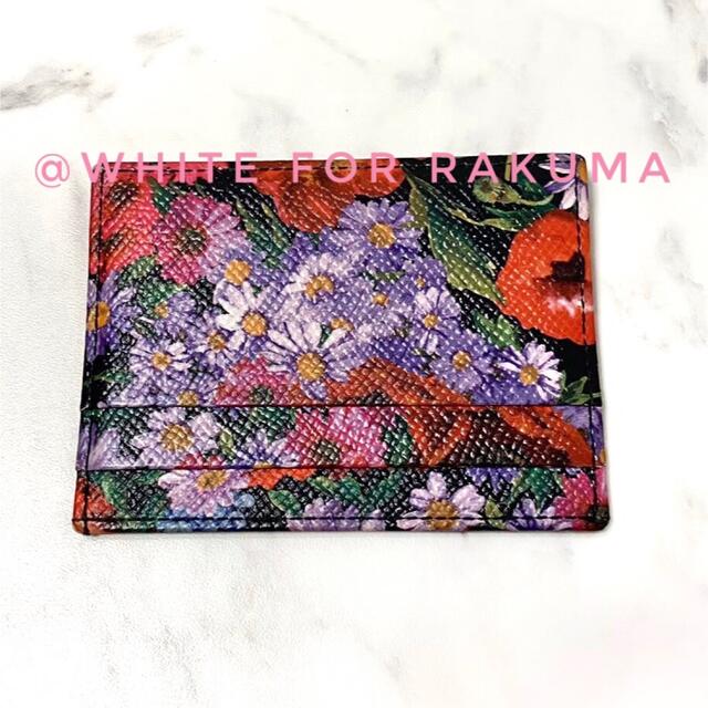 DOLCE&GABBANA - DOLCE&GABBANA ポピーとアスター満開の DOLCE&GABBANA - DOLCE&GABBANA ポピーとアスター満開の