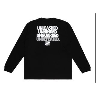 アンディフィーテッド(UNDEFEATED)のUNDEFEATED UNLEASHED L/S TEE - UL21007(Tシャツ/カットソー(七分/長袖))