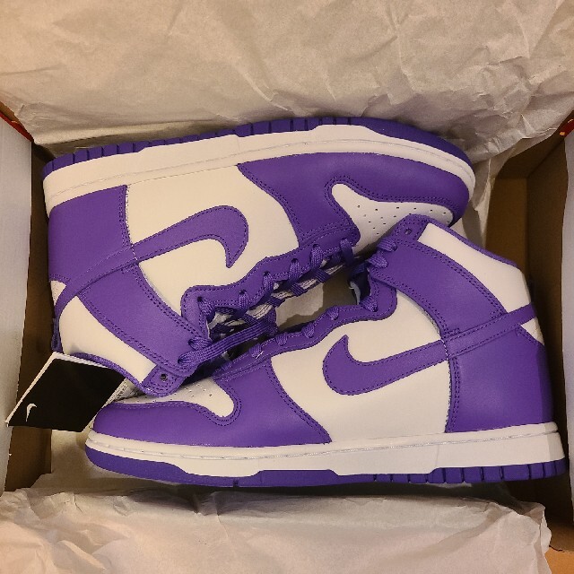 26cm NIKE DUNK championship court purple