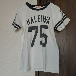 ハレイワ(HALEIWA)のHALEIWA　ハレイワ　Tシャツ　カットソー(Tシャツ(半袖/袖なし))