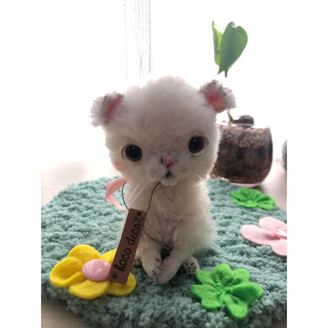 hacodeco様 猫 ぬいぐるみ♡ richproducts.com.au