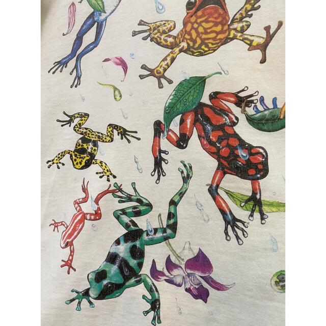 古着 ビンテージ 90s USA カエル アート Tシャツ 希少 | paymentsway.co
