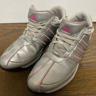 アディダス(adidas)のadidas ゴルフシューズ　レディース　24cm(シューズ)