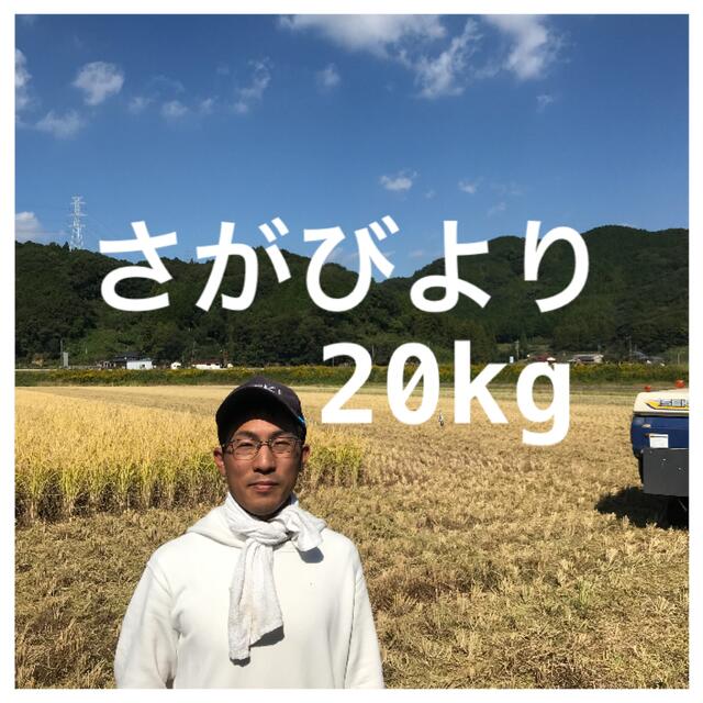 お米　米/穀物　さがびより20kg　（10kg2袋）