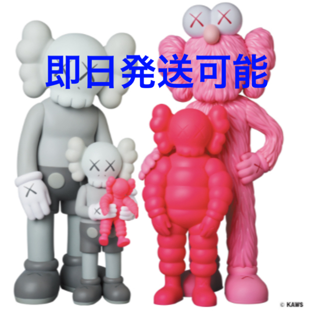 KAWS FAMILY GREY/PINK FLUORO PINK