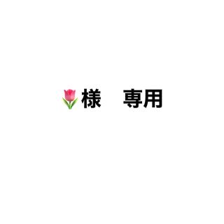 🌷様　専用(バレーボール)