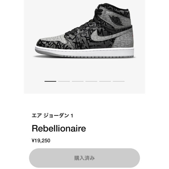 25cm NIKE AIR JORDAN 1 REBELLIONAIRE 1