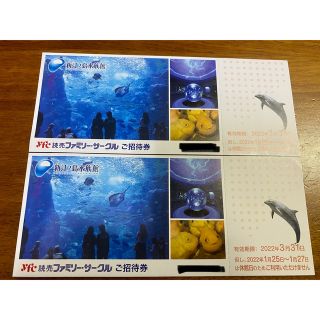 ☆新江ノ島水族館☆招待券2枚！3月31日まで(水族館)