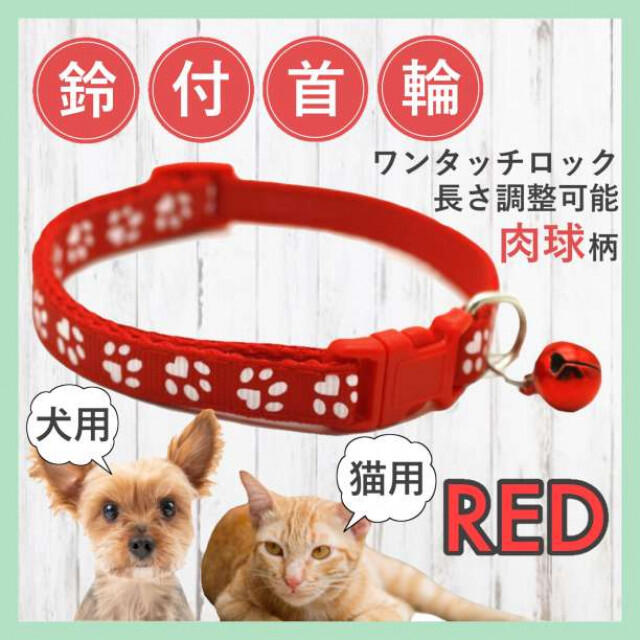 国内正規品 犬 猫 用 首輪 肉球模様 ブラウン バックル止め 長さ調整可能