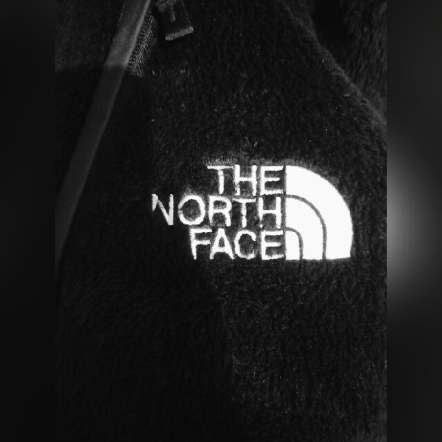 THE NORTH FACE(ザノースフェイス)のノースフェイス 18AW ポーラテック アンタークティカバーサロフトジャケット メンズのジャケット/アウター(ブルゾン)の商品写真