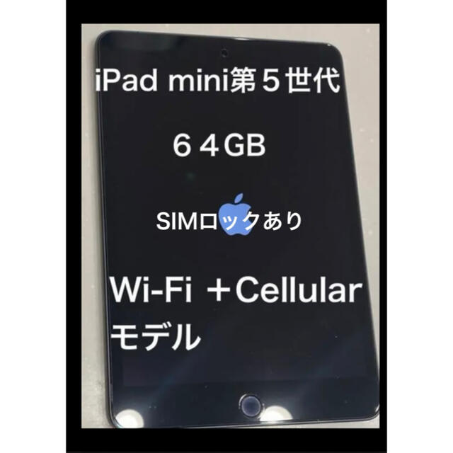 iPad mini 第5世代　64GB スペースグレイ