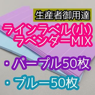 ちい様 ラインラベル 小 100枚 青紫 園芸ラベル 多肉植物 エケベリア(その他)