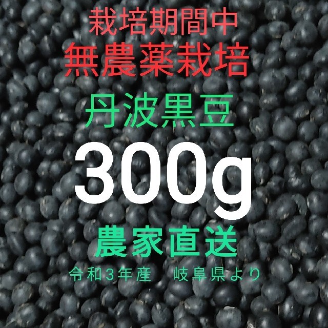 丹波黒豆　栽培期間中無農薬　300g 岐阜県産　黒豆　黒大豆 食品/飲料/酒の食品(野菜)の商品写真