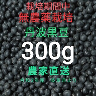 丹波黒豆　栽培期間中無農薬　300g 岐阜県産　黒豆　黒大豆(野菜)