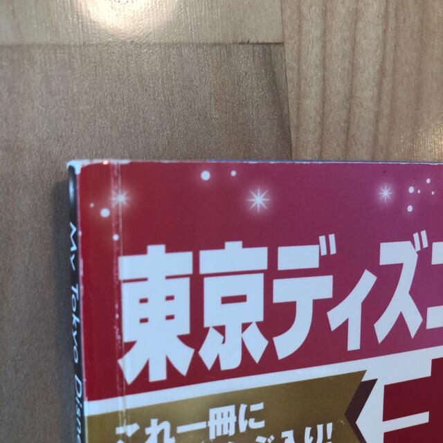 Disney(ディズニー)の東京ディズニーランド東京ディズニーシーまるわかりガイドブック ２０２２ エンタメ/ホビーの本(地図/旅行ガイド)の商品写真