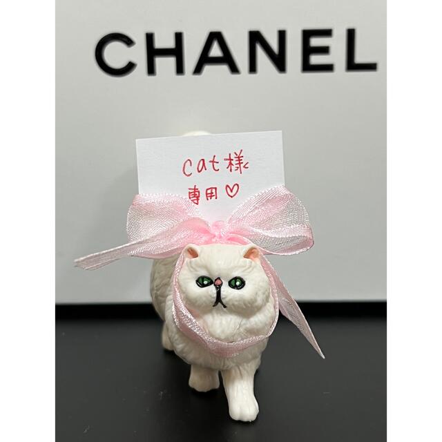 【2022福袋】 cat その他 【2022福袋】 cat その他
