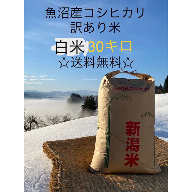 白米(正味)　減農薬　低農薬　魚沼産コシヒカリ　令和2年度産(古米)　5160円引き　30kg　☆新春福袋2022☆