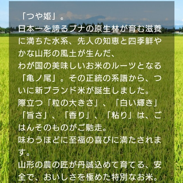 つや姫10kg　山形県産令和３年産 1