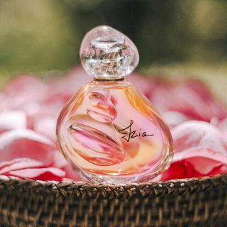 シスレー(Sisley)のSisley 香水Iziaイジィア オードパルァン100ml 定価25,850円(香水(女性用))