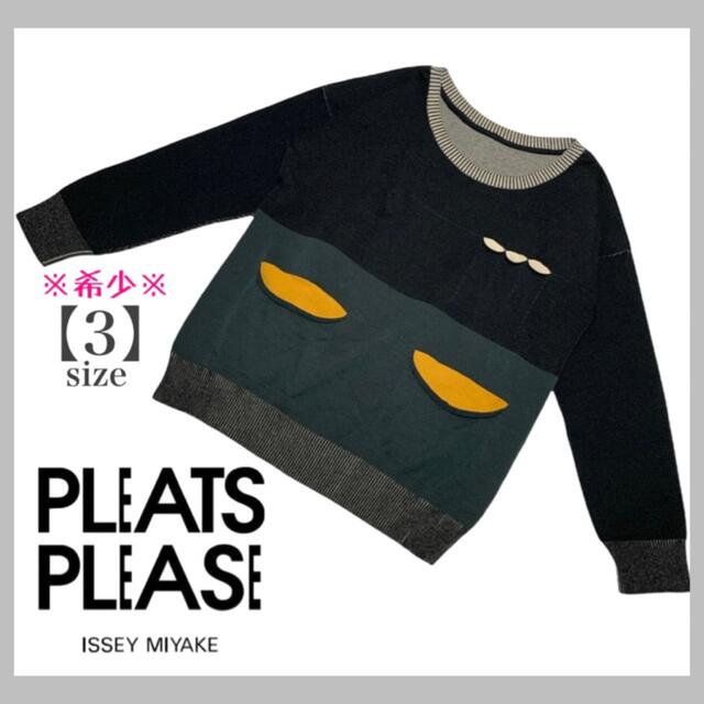 希少*美品*イッセイミヤケ 【プリーツプリーズ】ニットトップス