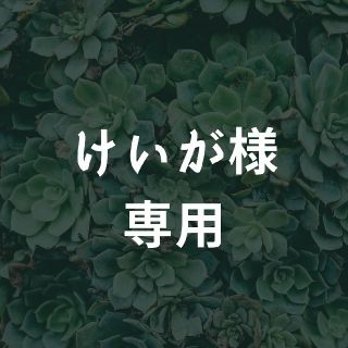 多肉植物 カット苗・抜き苗40種セット(その他)