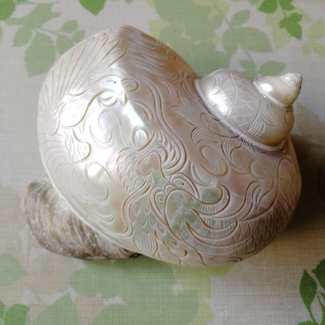 ［希少］天然貝殻彫刻芸術品