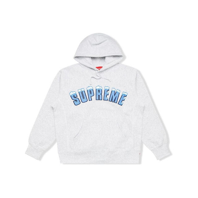 supreme  パーカー　Icy Arc Hooded Sweatshirt