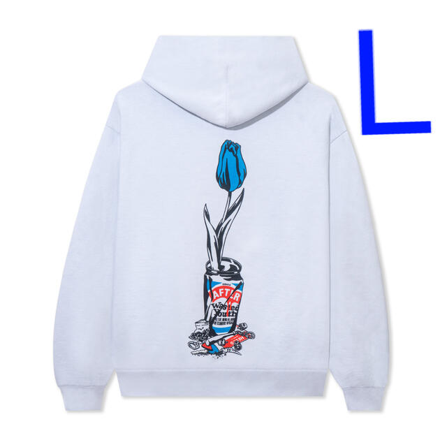 AFTERBASE X WASTED YOUTH HOODIE BLUE  L