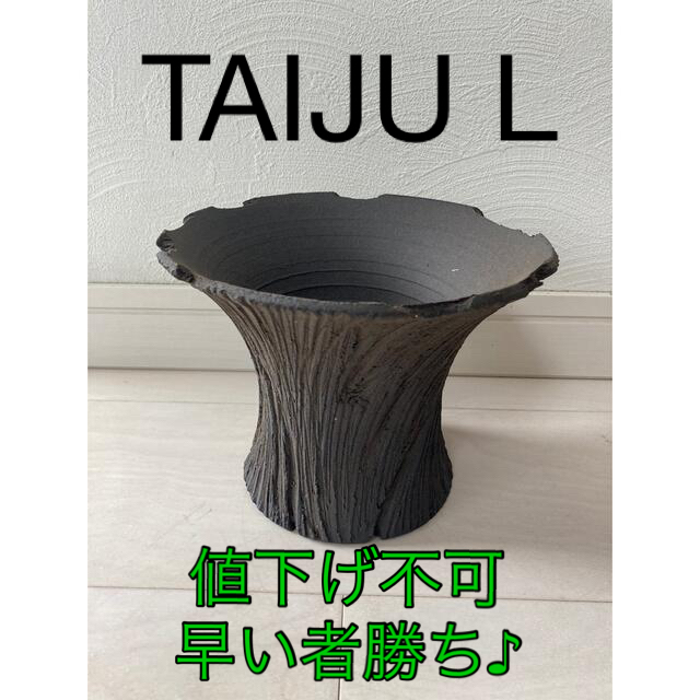 TAIJU L 吉光窯 earnest hearts pot アーネストハーツ-