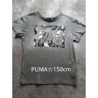 プーマ(PUMA)のPUMA　グレー半袖Tシャツ☆150cm(Tシャツ/カットソー)