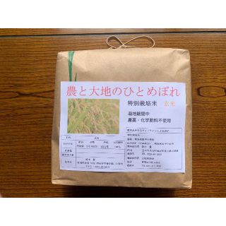 400年農家のひとめぼれ玄米4kg 無農薬(米/穀物)