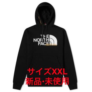 ザノースフェイス(THE NORTH FACE)のThe North Face Coordinates Popover Hoody(パーカー)