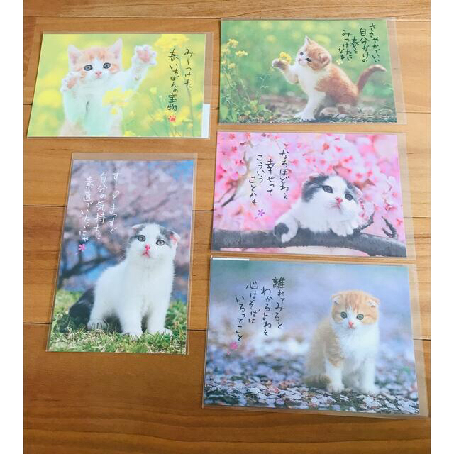 春柄ポストカード　猫 エンタメ/ホビーの声優グッズ(写真/ポストカード)の商品写真