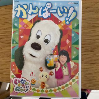 NHKDVD　いないいないばあっ！　かんぱーい！！ DVD(キッズ/ファミリー)