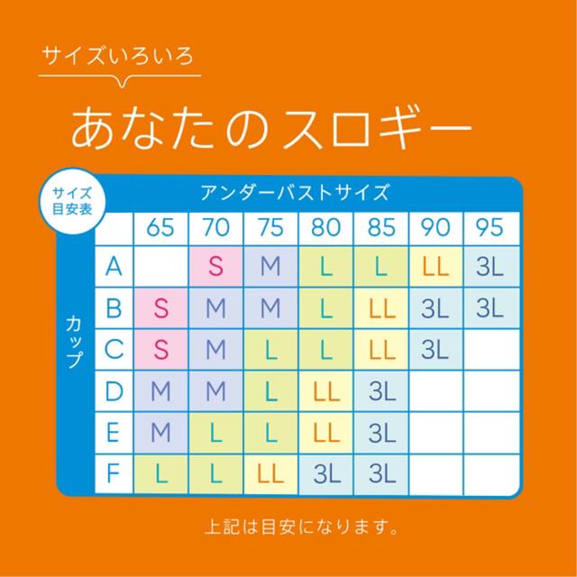 LL　2枚　トリンプ　スロギー　ゼロフィール　ノンワイヤー ブラ　LLサイズ